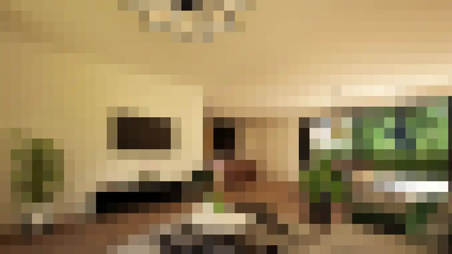 Hutkom 19 Wehl thumbnail 6