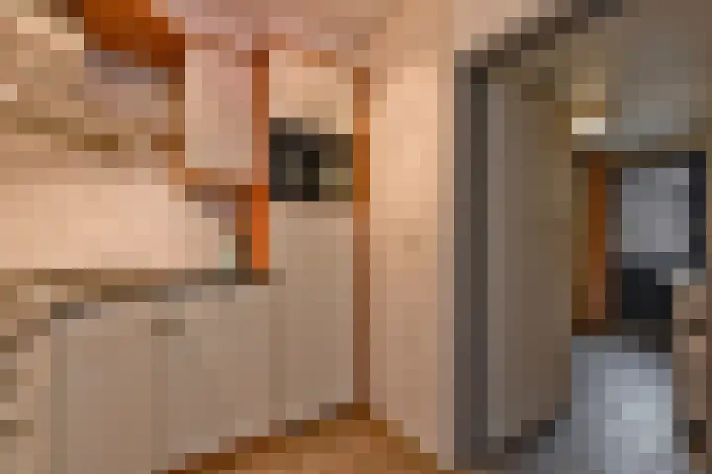 Huttensingel 12 Daarle thumbnail 16