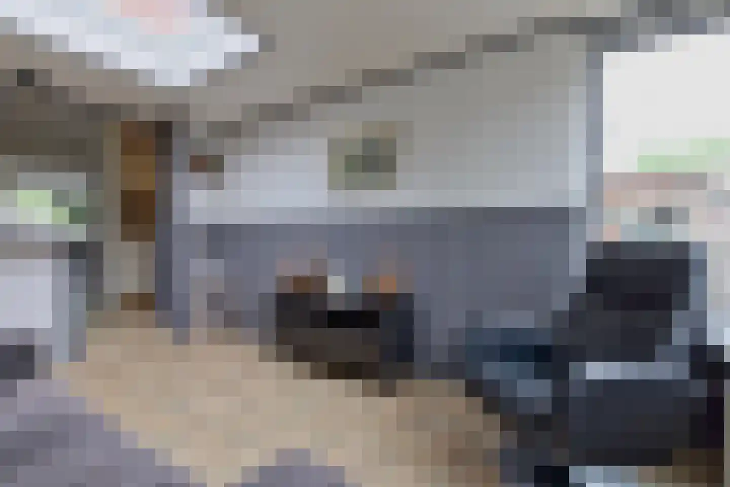Huttensingel 12 Daarle thumbnail 17