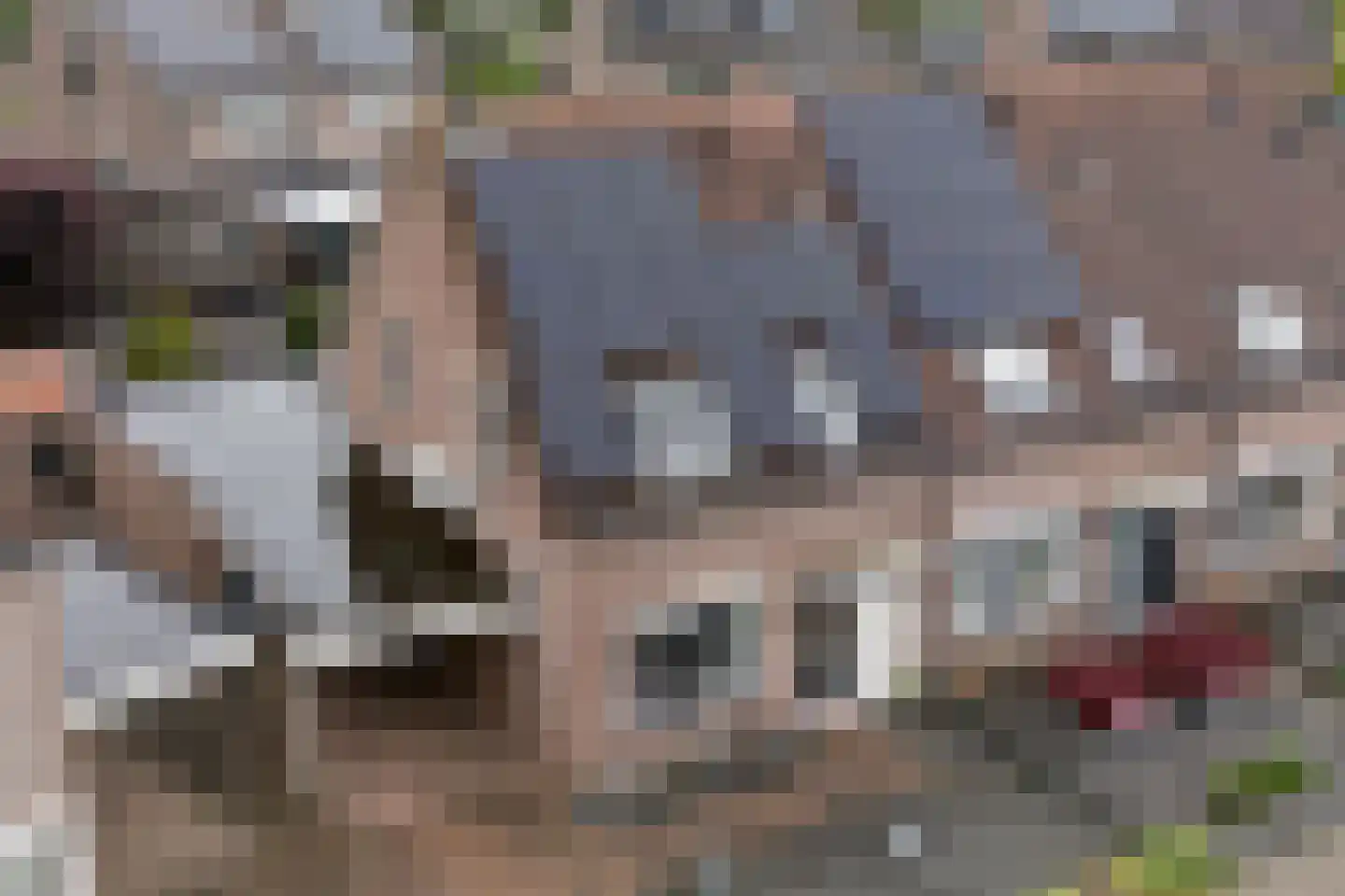 Huttensingel 12 Daarle thumbnail 26