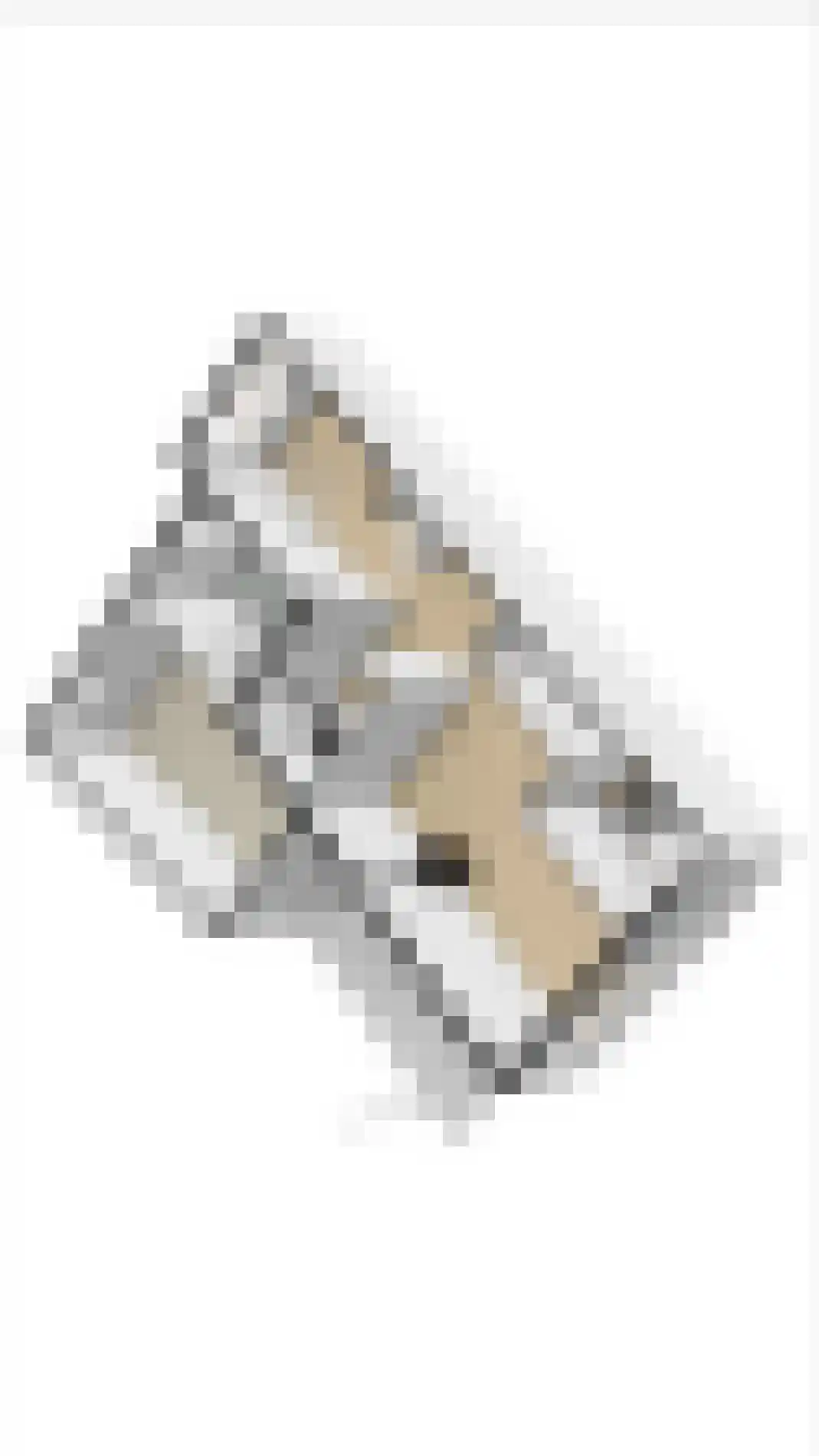 Huttensingel 12 Daarle thumbnail 35