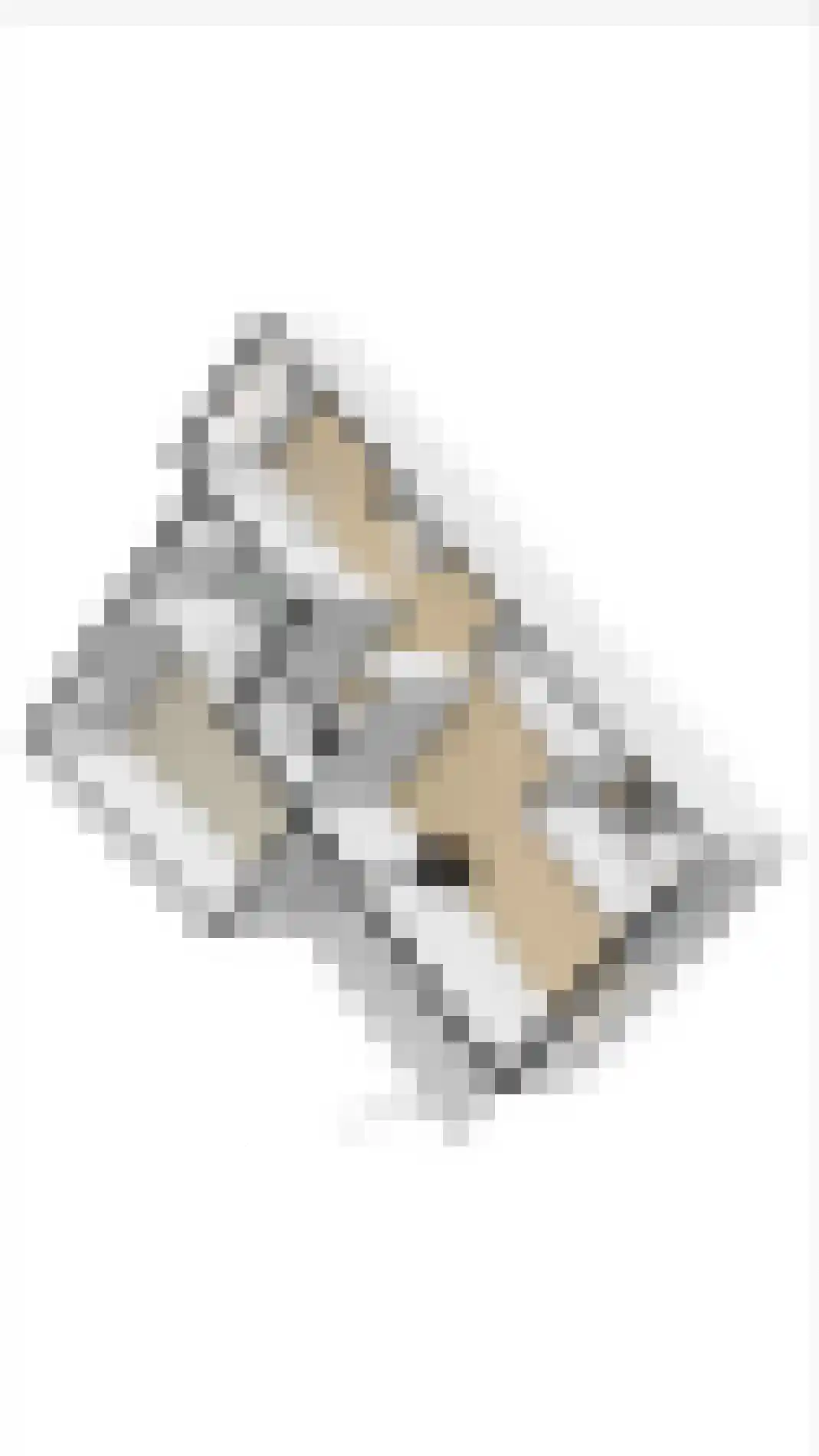 Huttensingel 12 Daarle thumbnail 35