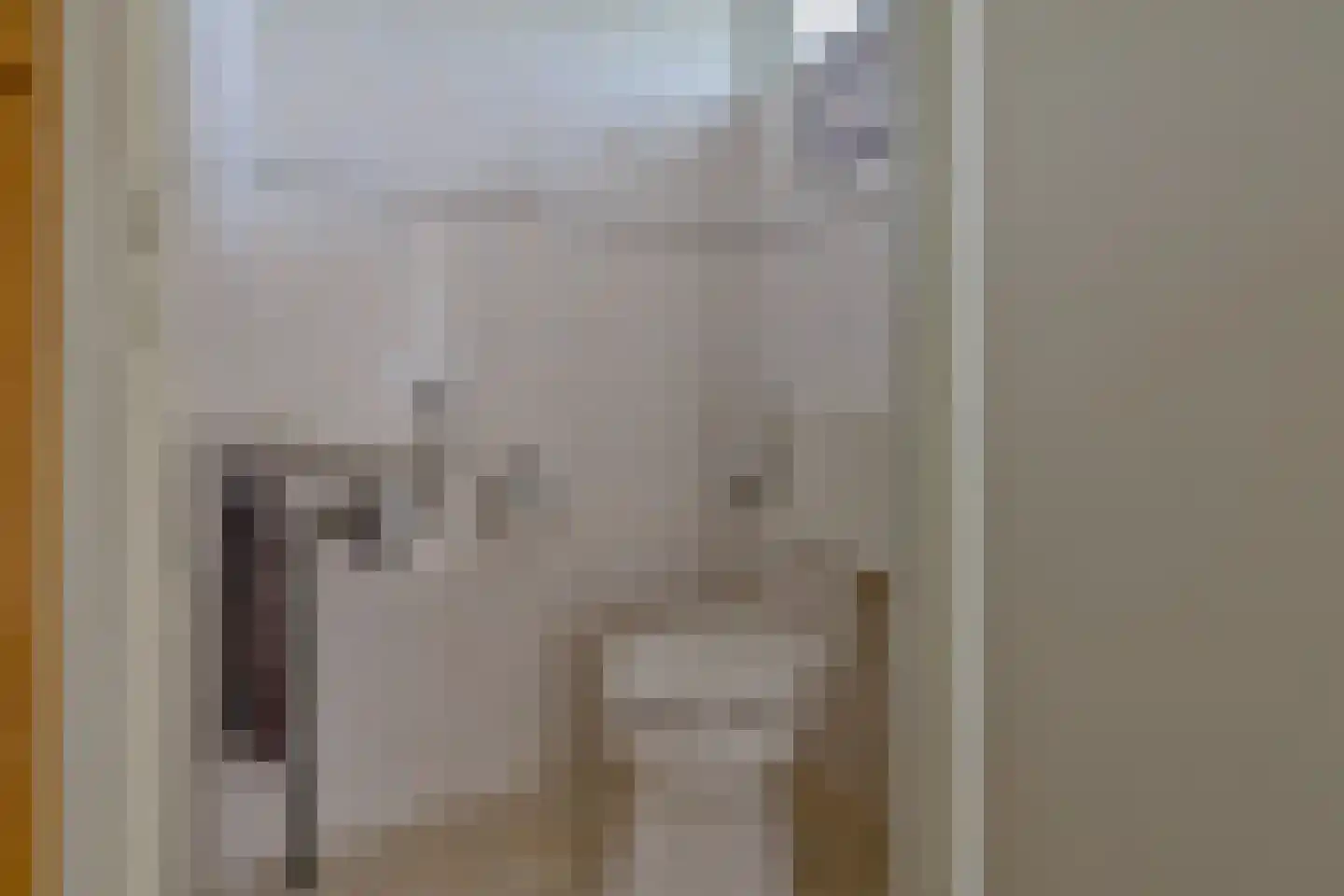 Huttensingel 12 Daarle thumbnail 5