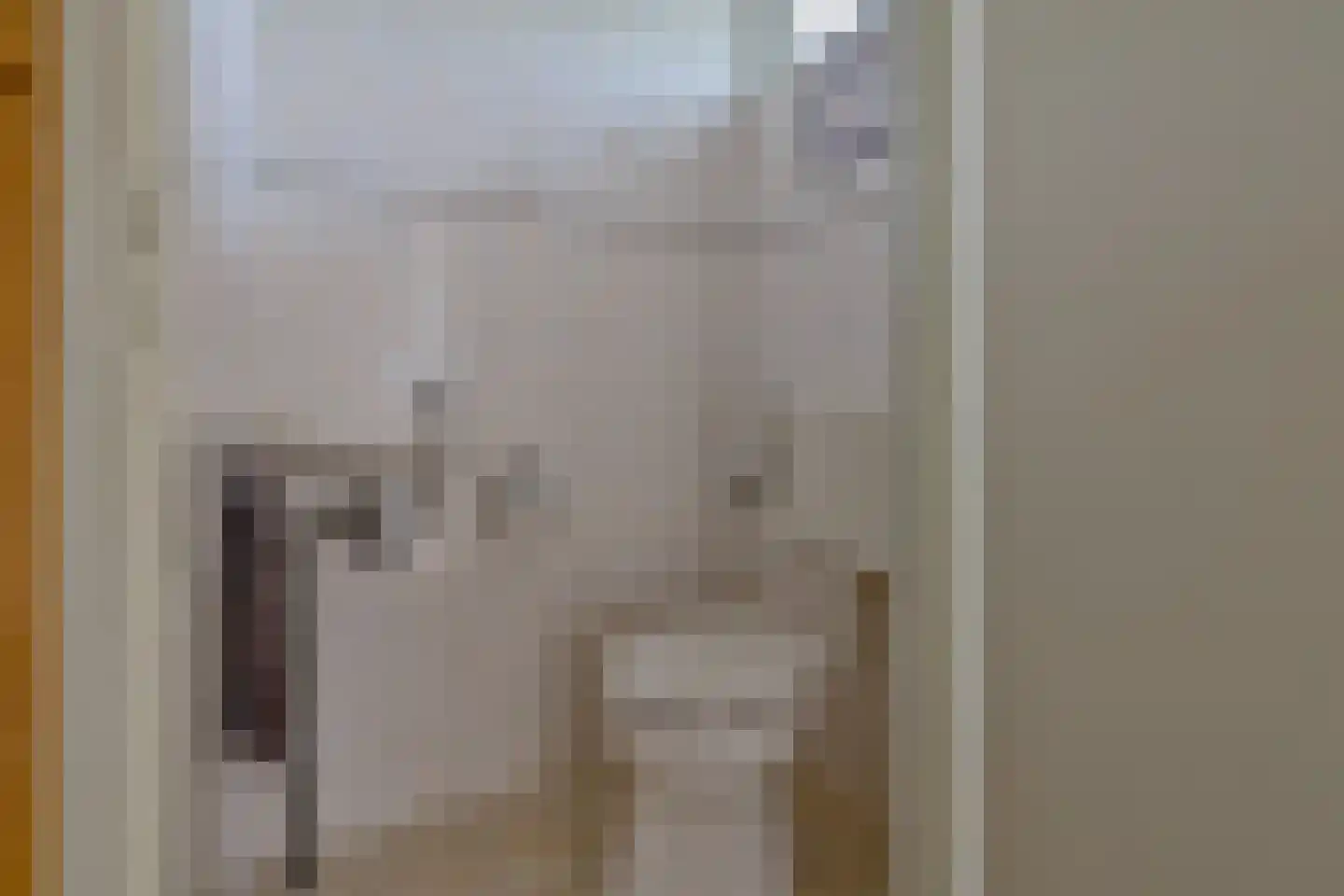 Huttensingel 12 Daarle thumbnail 5