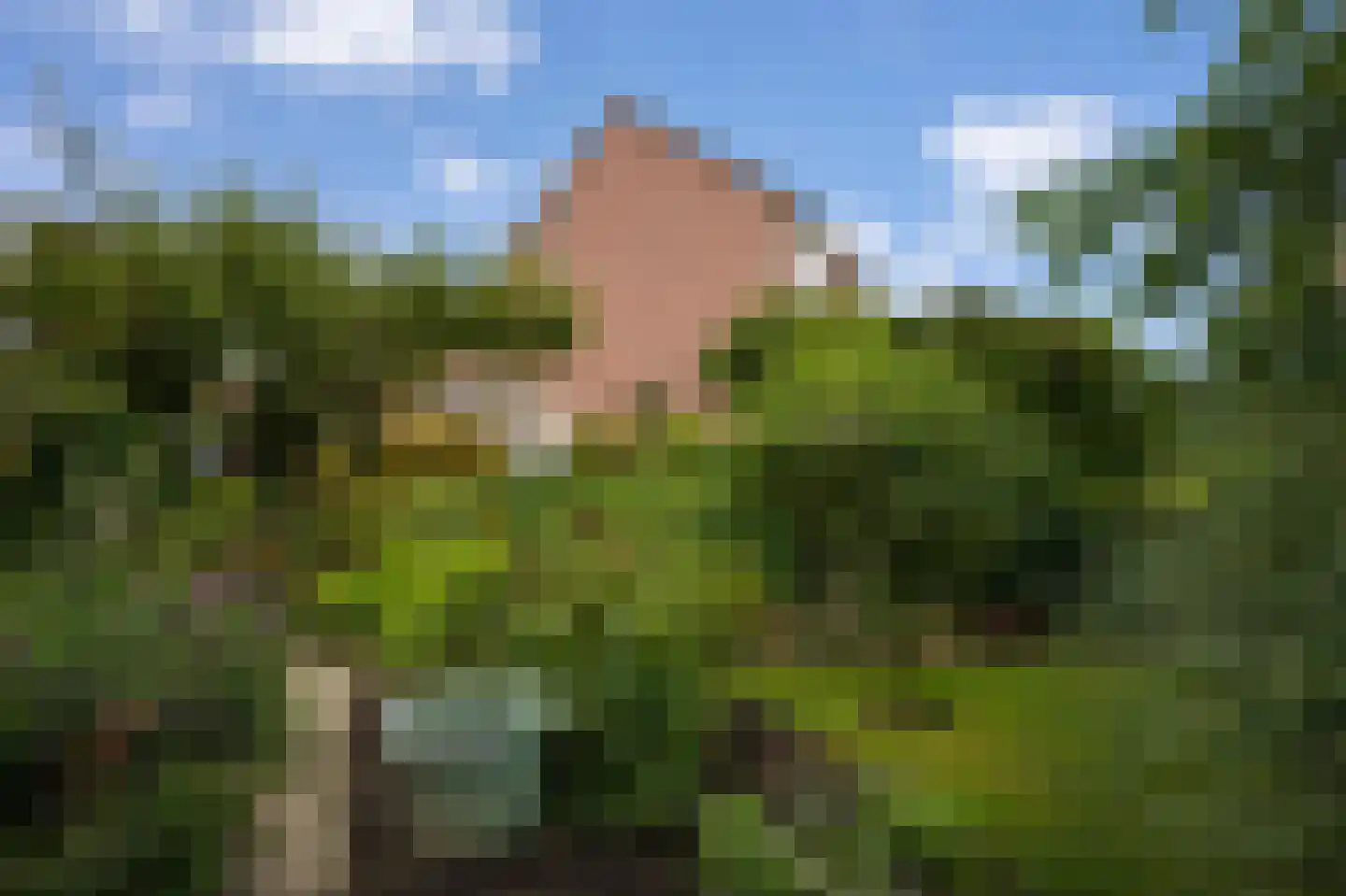 Huub Hermansstraat 7 Vaals thumbnail 23