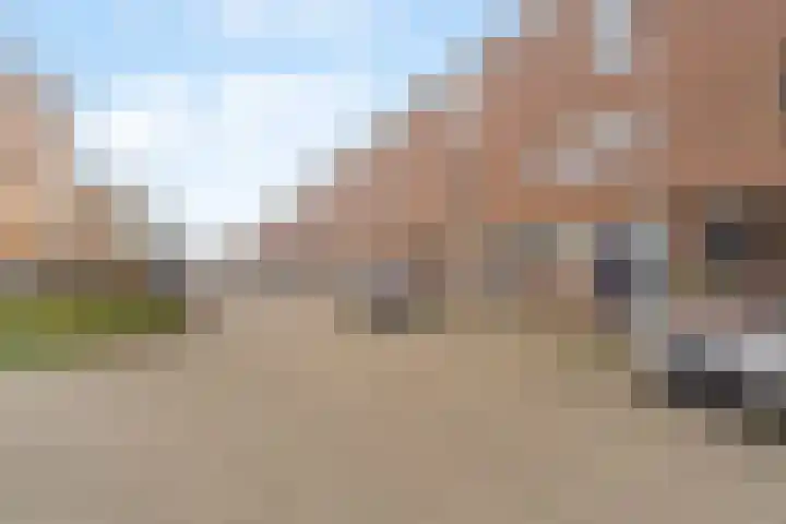Huub van den Brulestraat 58 Rotterdam thumbnail 32