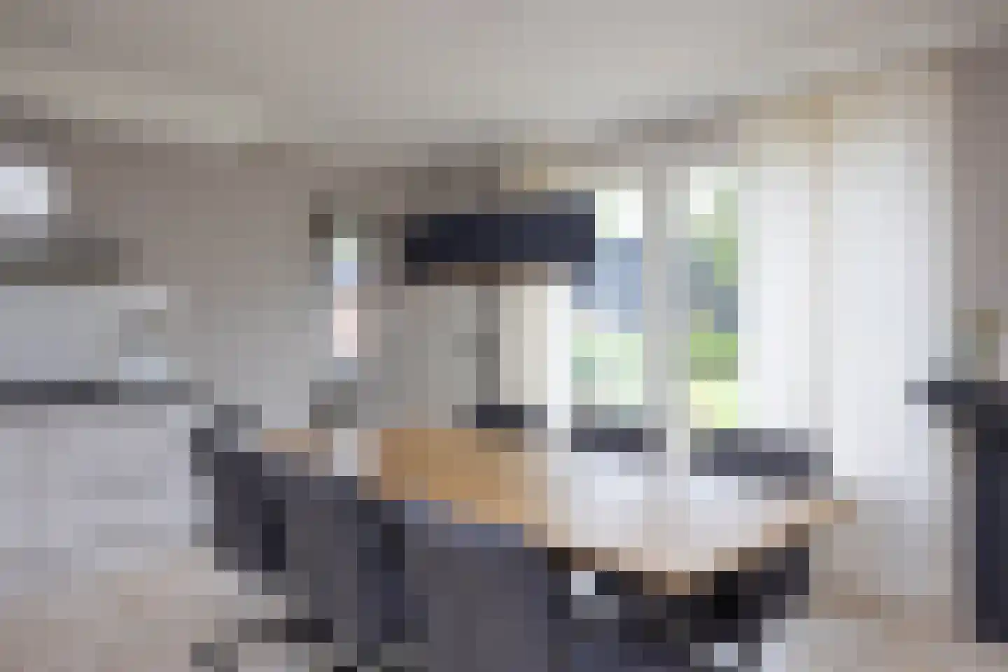 Huupoolweg 5 Saasveld thumbnail 19