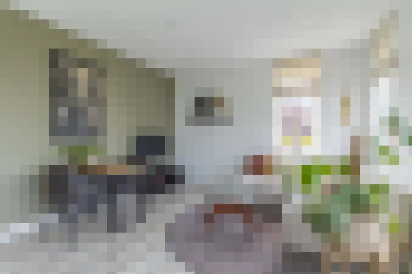 Huurdemanskamp 15 Bunschoten-Spakenburg thumbnail 4