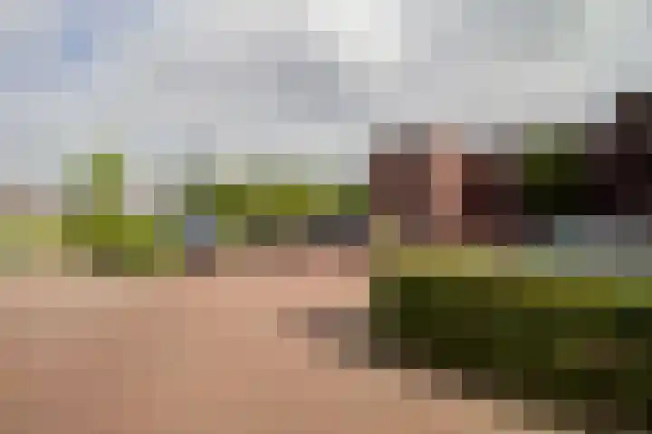Huurdemanskamp 16 Bunschoten-Spakenburg thumbnail 30