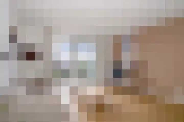 Huurdemanskamp 16 Bunschoten-Spakenburg thumbnail 4