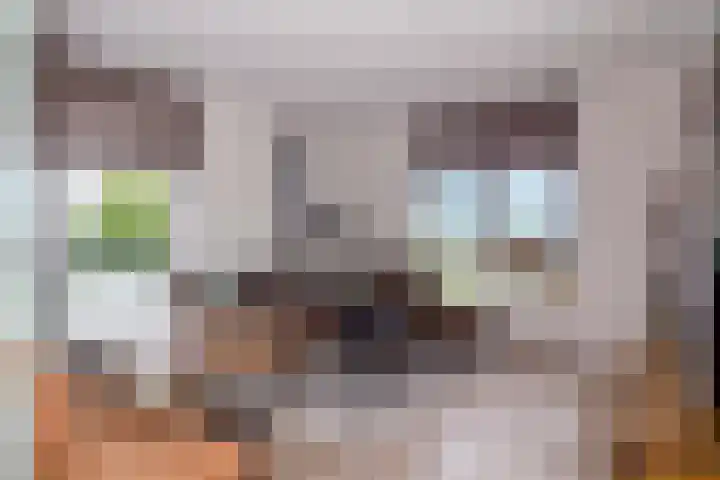 Huurdemanskamp 22 Bunschoten-Spakenburg thumbnail 4