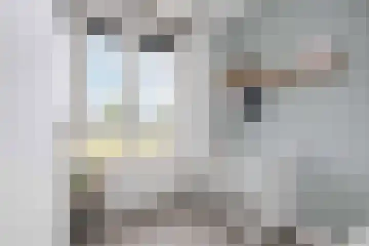 Huurdemanskamp 27 Bunschoten-Spakenburg thumbnail 22