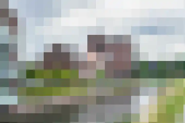 Huurdemanskamp 27 Bunschoten-Spakenburg thumbnail 30