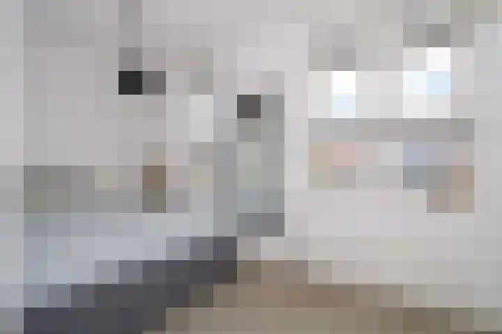 Huurdemanskamp 42 Bunschoten-Spakenburg thumbnail 15