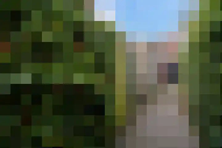 Huurdemanskamp 42 Bunschoten-Spakenburg thumbnail 31