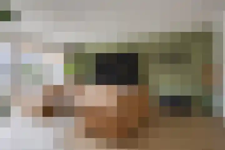 Huurlingsedam 161 Wijchen thumbnail 13