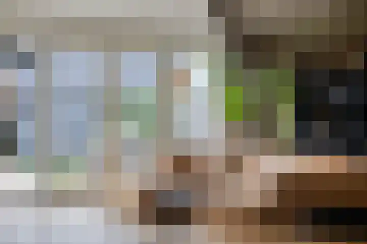 Huurlingsedam 161 Wijchen thumbnail 14