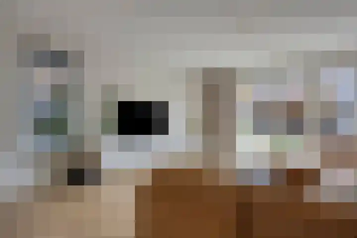 Huurlingsedam 161 Wijchen thumbnail 15