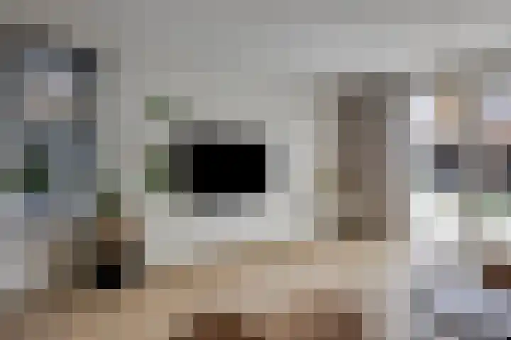 Huurlingsedam 161 Wijchen thumbnail 16