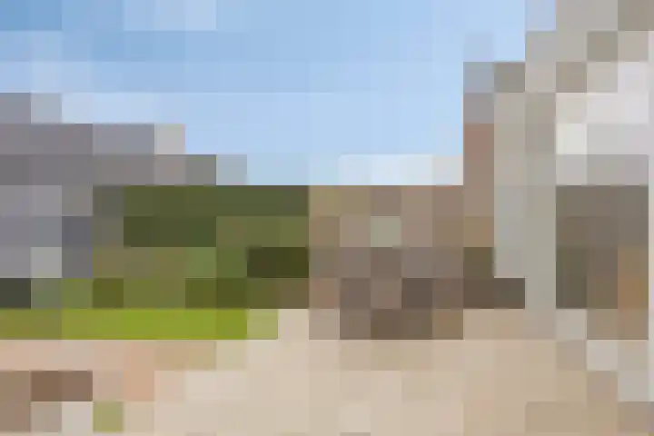 Huurlingsedam 161 Wijchen thumbnail 35