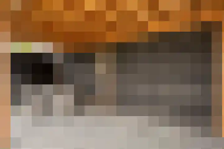 Huurlingsedam 161 Wijchen thumbnail 37