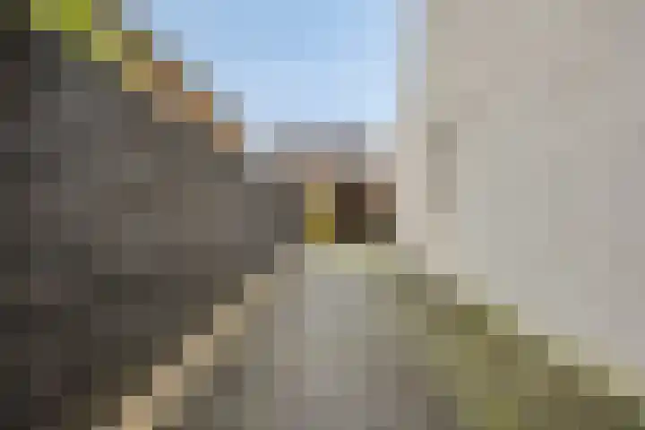Huurlingsedam 161 Wijchen thumbnail 39