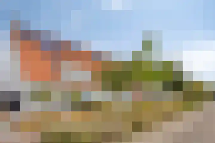Huurlingsedam 161 Wijchen thumbnail 4