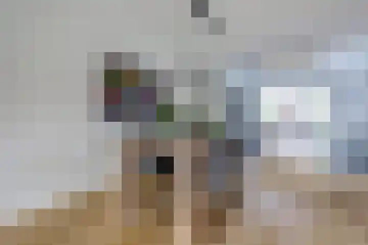 Huurlingsedam 40 Wijchen thumbnail 12