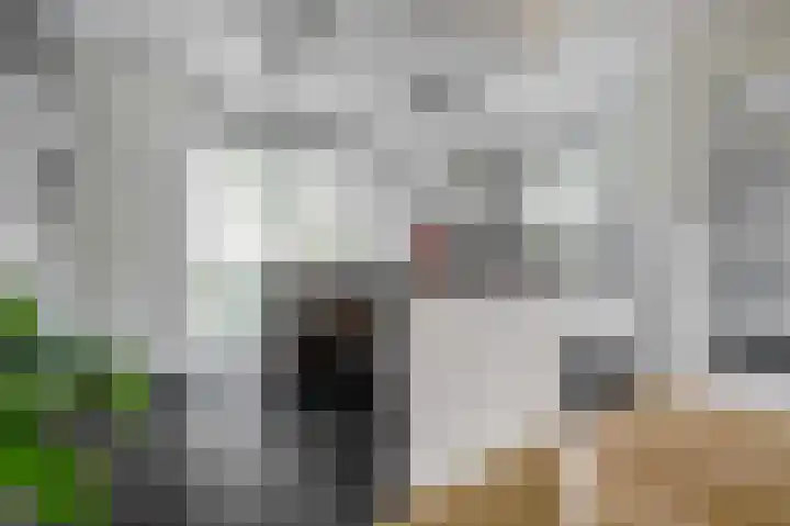 Huurlingsedam 40 Wijchen thumbnail 15