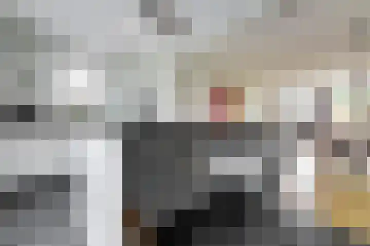 Huurlingsedam 40 Wijchen thumbnail 16