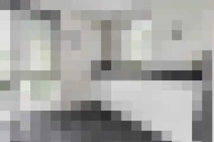 Huurlingsedam 40 Wijchen thumbnail 17