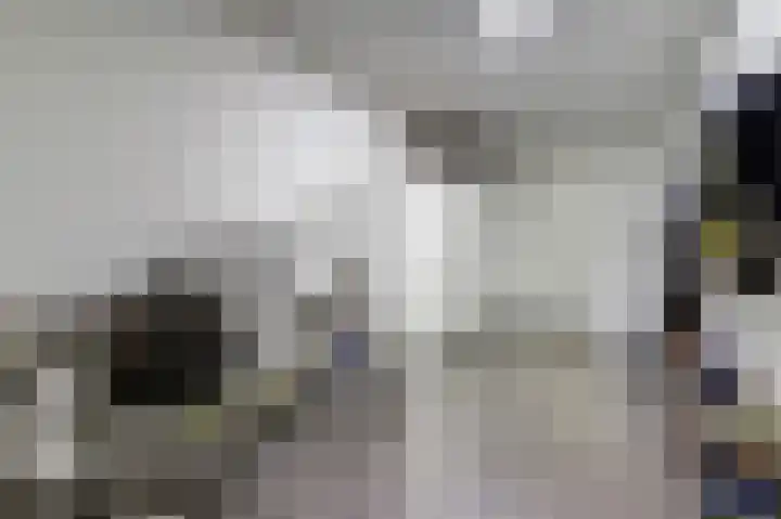 Huurlingsedam 40 Wijchen thumbnail 21