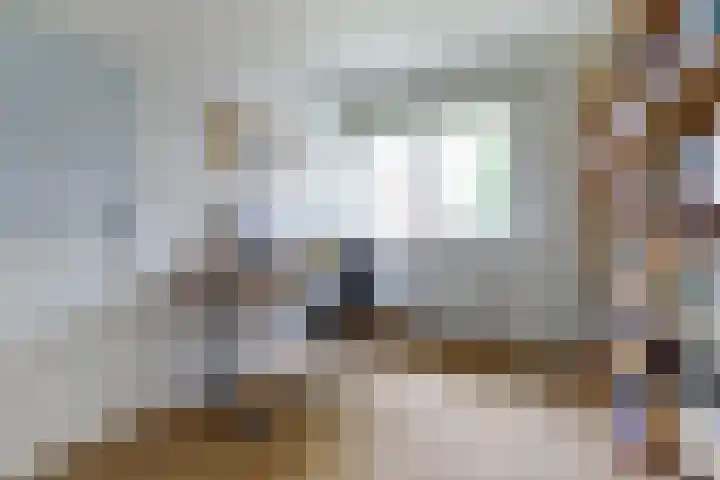 Huurlingsedam 40 Wijchen thumbnail 29