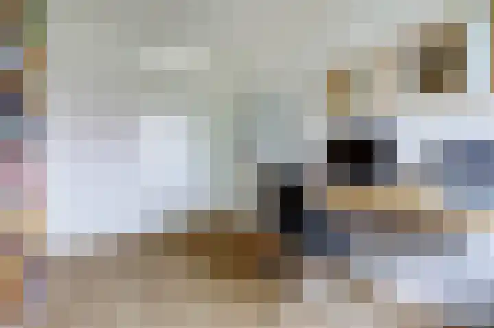 Huurlingsedam 40 Wijchen thumbnail 30