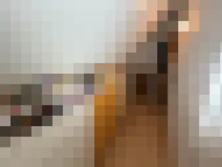 Huurlingsedam 40 Wijchen thumbnail 31