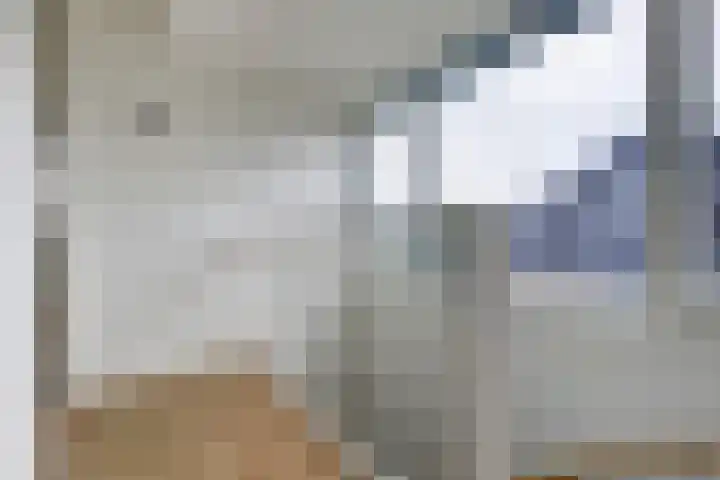 Huurlingsedam 40 Wijchen thumbnail 37