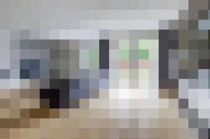 Huurlingsedam 40 Wijchen thumbnail 4