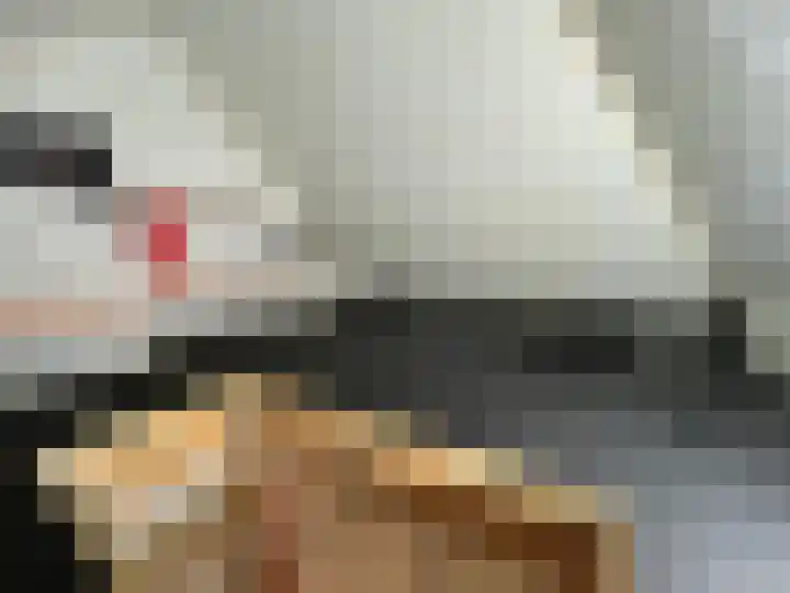 Huurlingsedam 40 Wijchen thumbnail 45