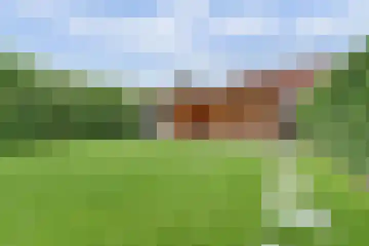 Huurlingsedam 40 Wijchen thumbnail 47