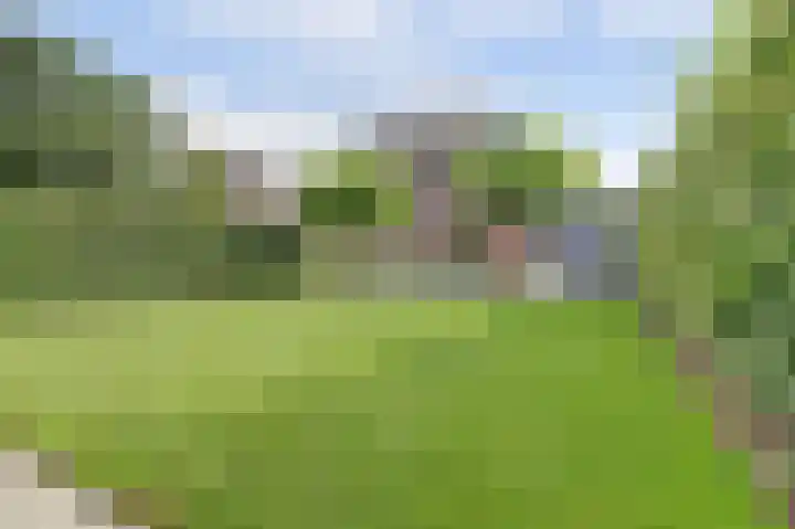 Huurlingsedam 40 Wijchen thumbnail 49