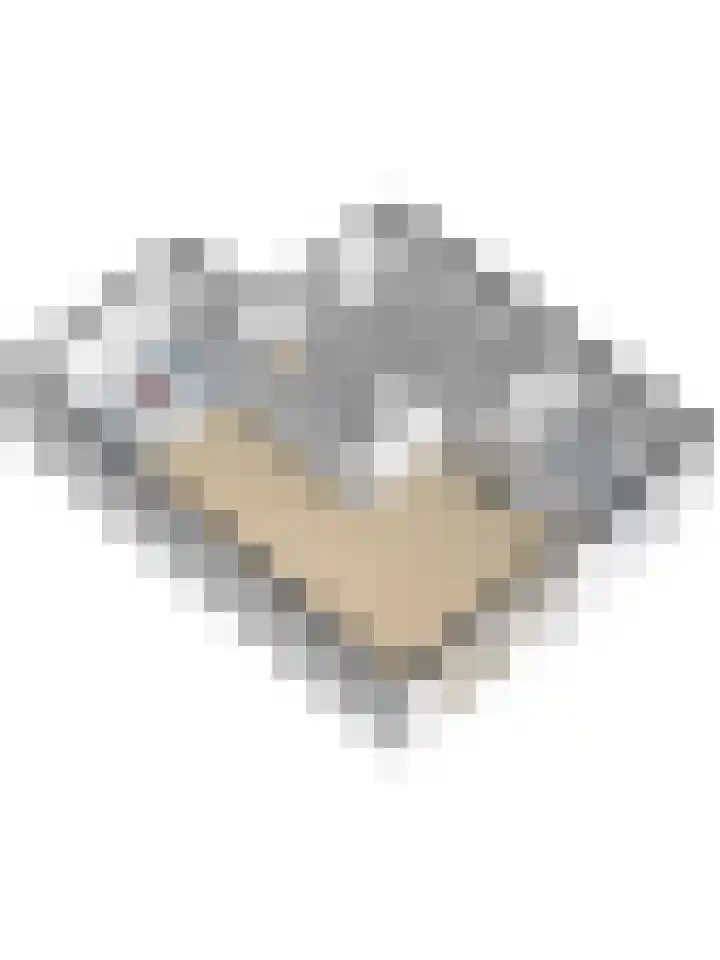 Huurlingsedam 40 Wijchen thumbnail 55