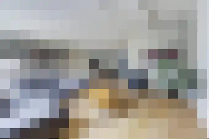 Huurlingsedam 40 Wijchen thumbnail 6