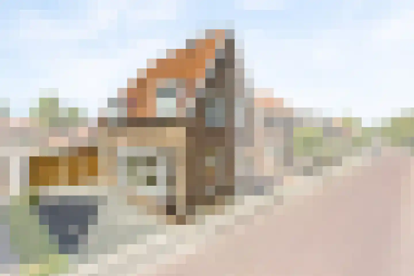 Huurnestraat 27 Oldenzaal thumbnail 6