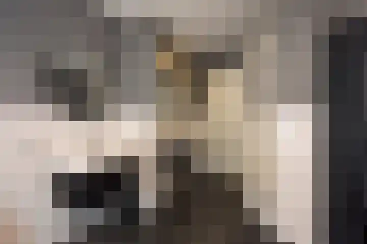 Huurninkallee 1 Beltrum thumbnail 12
