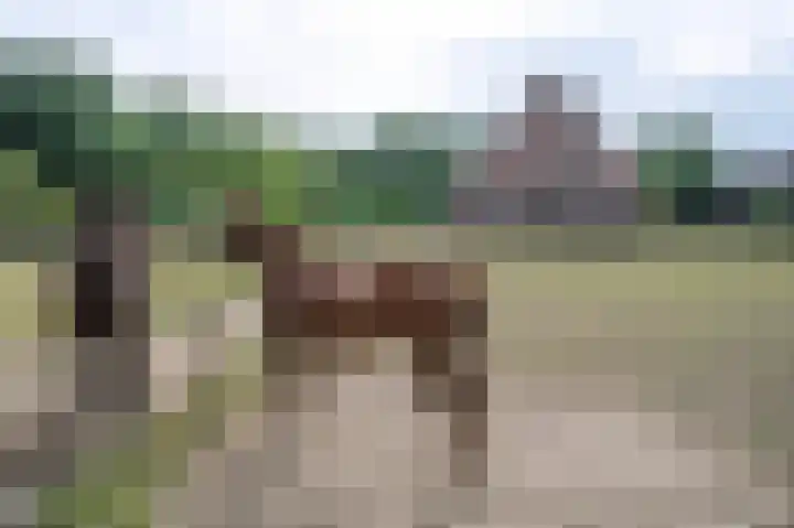 Huurninkallee 1 Beltrum thumbnail 19