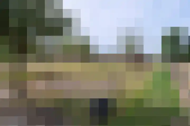 Huurninkallee 1 Beltrum thumbnail 20