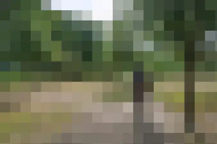 Huurninkallee 1 Beltrum thumbnail 21