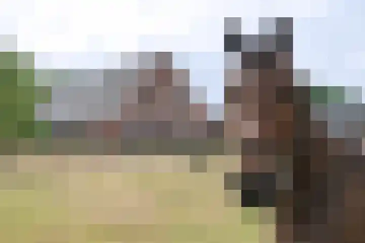 Huurninkallee 1 Beltrum thumbnail 22