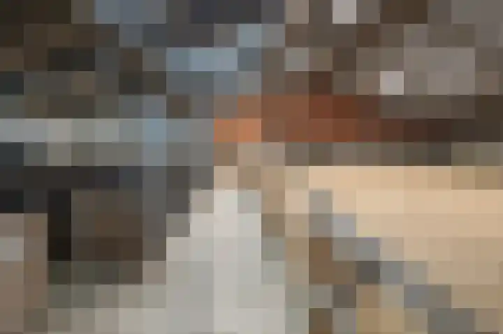 Huurninkallee 1 Beltrum thumbnail 33