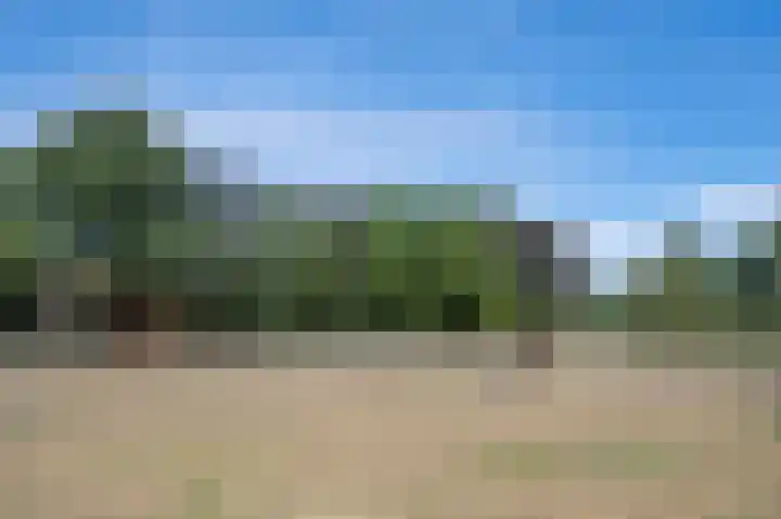 Huurninkallee 1 Beltrum thumbnail 36